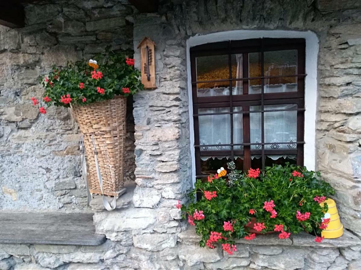 Agriturismo Meizoun Blancho Фенестрелле Екстер'єр фото